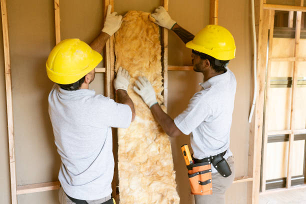 Best Insulation Inspection Services  in Sun City West, AZ