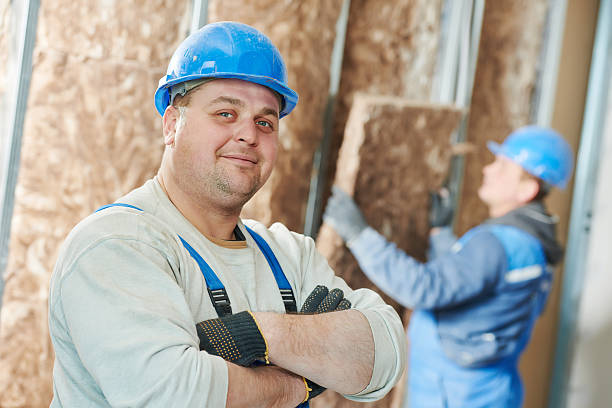 Best Local Insulation Services  in Sun City West, AZ