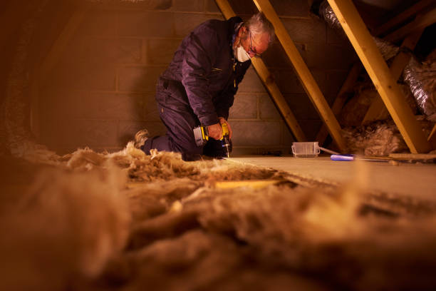 Best Energy-efficient Insulation  in Sun City West, AZ